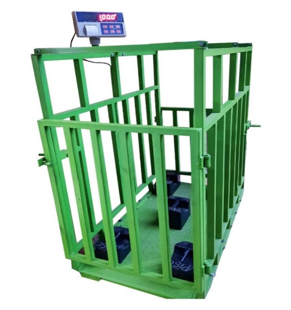 Goat And Pig Weighing Scale