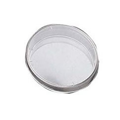 Petridish