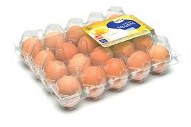 20 Pack Egg Tray