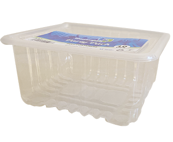 10 Pack of 1003 With Lid