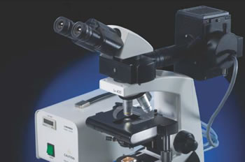 LX300 Labomed Microscope.
