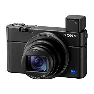 Sony Cyber-shot DSC-RX100 VII Digital Camera