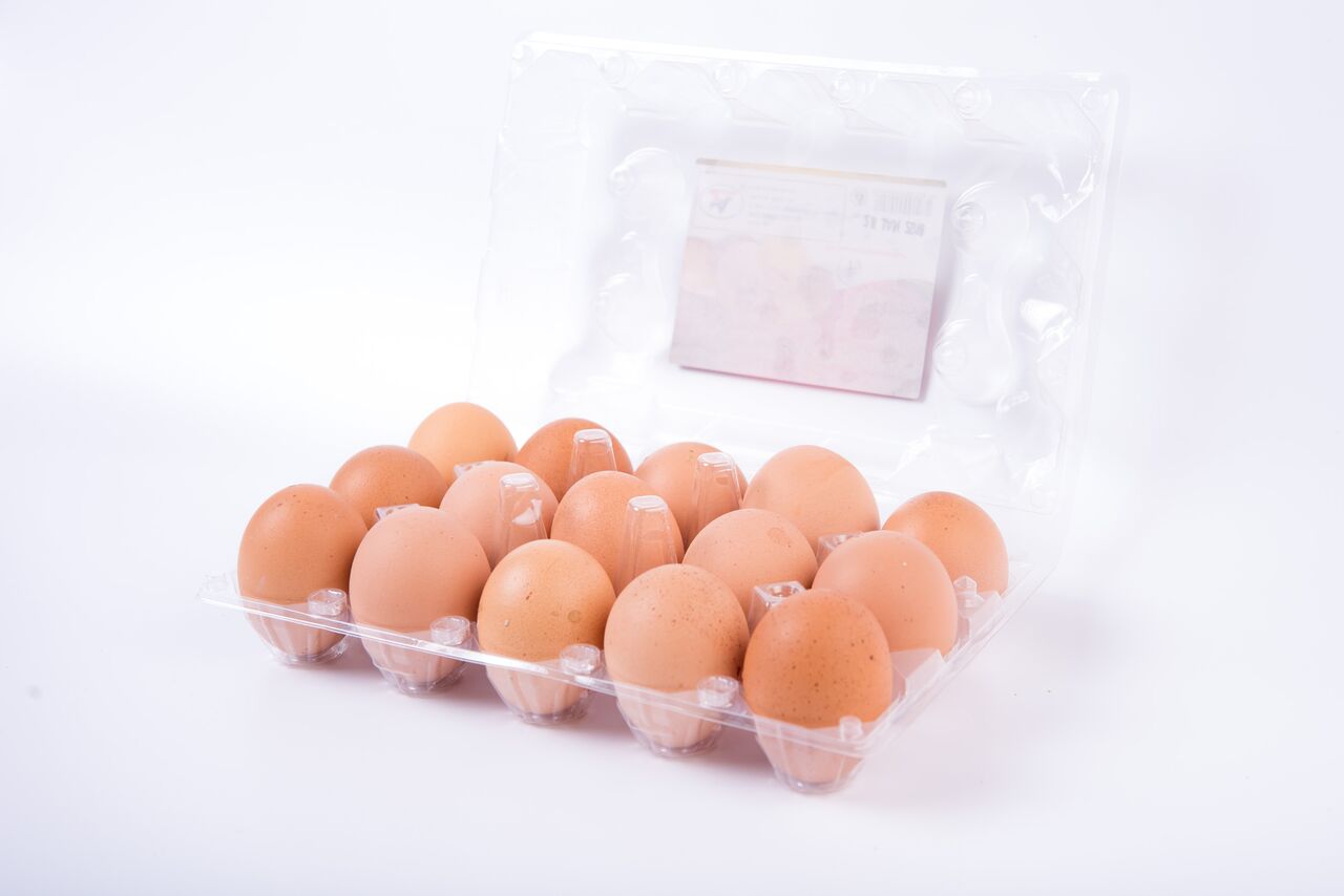 15 Pack Egg Tray