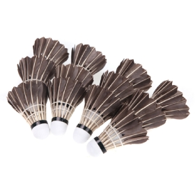 Shuttlecocks and racquets